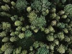 Abri de jardin en bois avec plancher traité 3,53 m² portes doubles et fenêtres