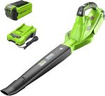 Souffleur sans fil 40 V vitesse variable 150 mph débit 130 CFM batterie 2 Ah chargeur inclus - Blower / Vac (230 MPH) Tool Only, Portable – image 1