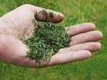 Tondeuse sans fil 36 V 48 cm mulching jusqu’à 1000 m² – image 10