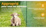 Filet poule 15 m x 90 cm avec poteaux et tendeurs