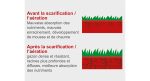 Scarificateur thermique 212 cm3 40 cm bac 40 L – image 5