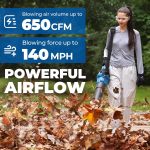 Souffleur de feuilles sans fil 40 V 650 CFM avec 2 batteries 4,0 Ah et chargeur – image 9